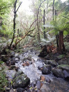 Slope Point - Nugget Point Lighthouse-016